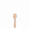lopatka-do-lodow.webp